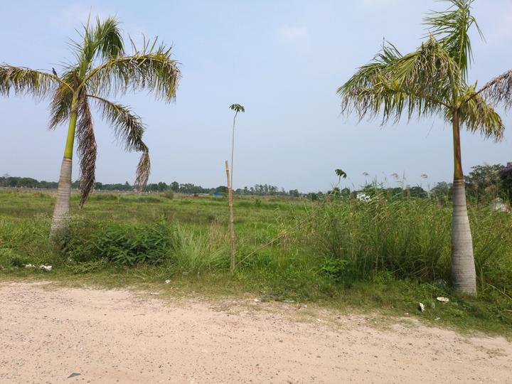METRO PLEXCITY Main Image 1