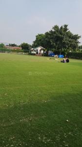 Image of 9072 Sq.ft Residential Plot / Land for sale in Dkrrish Alaska Farms, Nagla Nagli, Noida for Rs. 8500000
