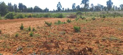 Image of 2738 Sq.ft Residential Plot / Land for sale in Somalapura, Chikballapur District for Rs. 9993700