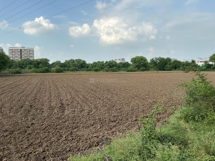 Sherkhi Main Image 1