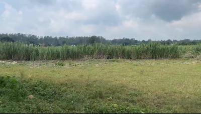 Jhabrawala Plot View 3