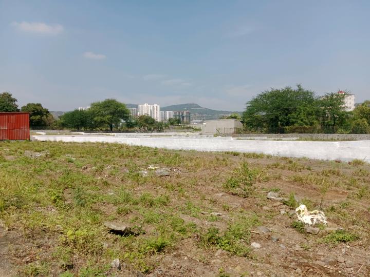 goldmark serene Main Image 1