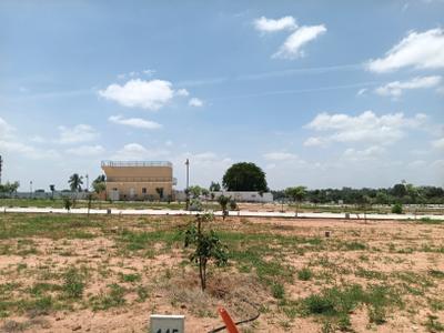 Residential Plot