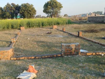 Bijnor More Images 2