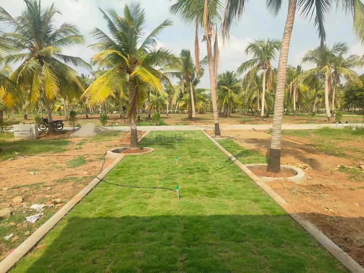 Farm Land Main Image 1