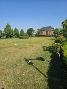 Image of 1780 Sq.ft 3 BHK Builder Floor for sale in New Chandigarh, Chandigarh for Rs. 15800000