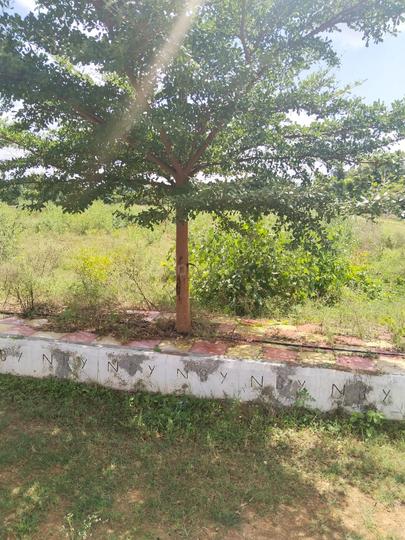 Choutuppal Main Image 1