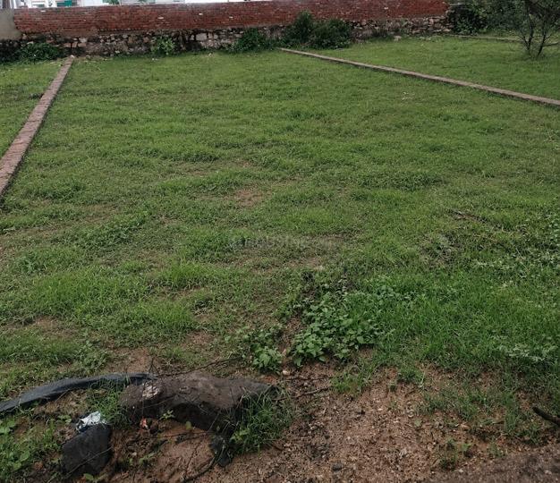 Shiholi Main Image 1