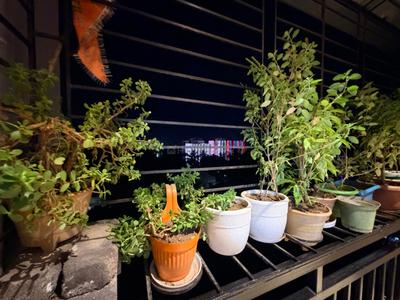 Balcony Image of 1192 Sq.ft 3 BHK Apartment / Flat for sale in Arrah Kalinagar Durgapur for Rs. 6200000