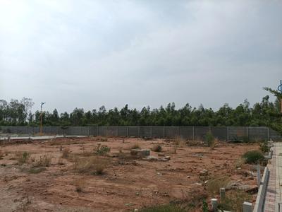 Residential Plot