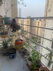 Balcony Image of 1028 Sq.ft 3 BHK Apartment / Flat for sale in Paras Tierea, Sector 137 Noida for Rs. 13000000