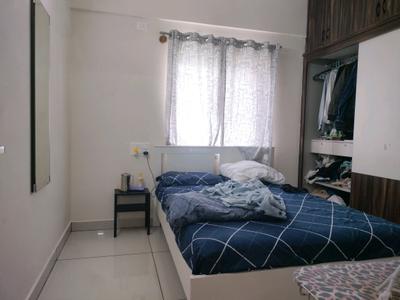Bedroom Image of 750 Sq.ft 1 BHK Apartment / Flat for rent in Whitefield Bengaluru for Rs. 25500