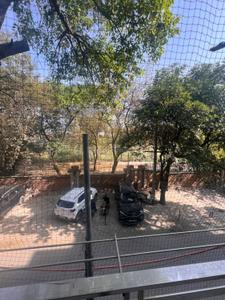 Image of 1200 Sq.ft 2 BHK Builder Floor for rent in DDA Akshardham Apartments, Sector 19 Dwarka, New Delhi for Rs. 32000