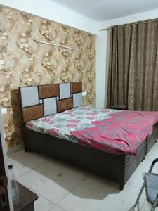 Bedroom Image of 800 Sq.ft 2 BHK Apartment / Flat for rent in Gillco Palms, Sector 115 Mohali for Rs. 24500