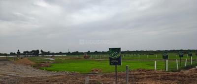 Residential Plots For Sale Plot View 2