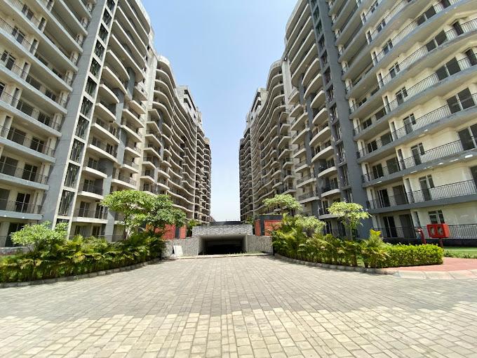 Home And Soul Beetle Lap More Images 1