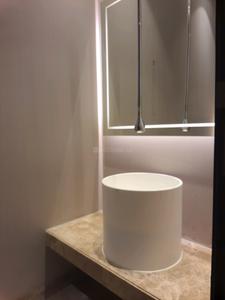 Common Bathroom Image of 2600 Sq.ft 4 BHK Builder Floor for sale in Sarhol Gurgaon for Rs. 50000000