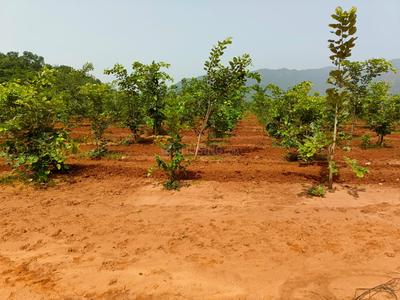 Image of 200 Sq.ft Residential Plot / Land for sale in Kothavalasa, Visakhapatnam for Rs. 1200000