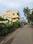 Kaietha Milleth Nagar, Pallikaranai Plot View 2