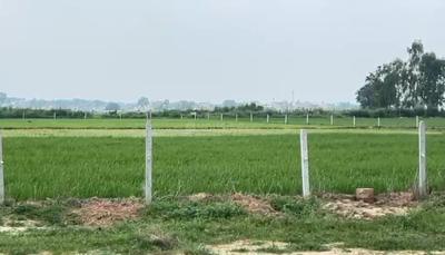 Image of 1000 Sq.ft Residential Plot / Land for sale in Gosainganj, Lucknow for Rs. 1750000