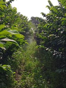Image of 10000 Sq.ft Residential Plot / Land for sale in Rahatgaon, Amravati for Rs. 27700000