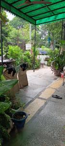 Image of 2500 Sq.ft 6 BHK Duplex for sale in RWA BK Dutt Colony, BK Dutt Colony, New Delhi for Rs. 21000000