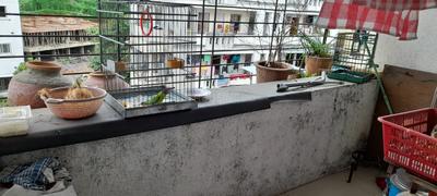 Balcony Image of 550 Sq.ft 1 BHK Apartment / Flat for sale in Narhe Pune for Rs. 1600000