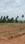 Charans Signature Main Image 1