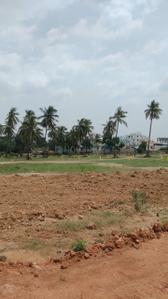 Charans Signature Plot View 1