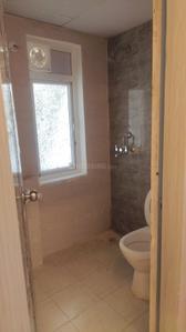 Image of 805 Sq.ft 2 BHK Apartment / Flat for rent in Amrapali Dream Valley 2, Noida Extension, Greater Noida for Rs. 18000