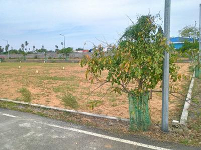 Kolappancheri Plot View 1