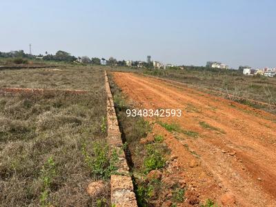 Patrapoda Plot View 3