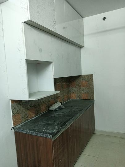 Tulip Lemon Main Image 1