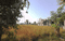 Inzapur Main Image 1