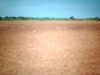 Image of 1089 Sq.ft Residential Plot / Land for sale in Pen, Raigad for Rs. 208500