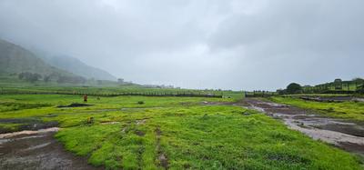 Ram Nagar, Igatpuri Plot View 3