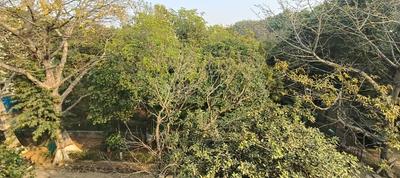 Image of 276 Sq.ft Residential Plot / Land for sale in Suncity Township, Sector 54, Gurgaon for Rs. 110000000