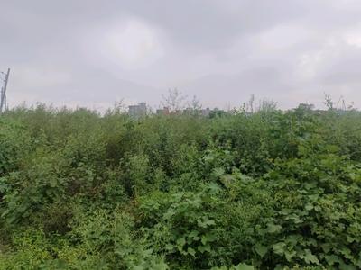 Image of 60 Sq.ft Residential Plot / Land for sale in Sector 35 Rohini, New Delhi for Rs. 12000000