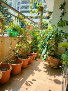 Bedroom Three Image of 4775 Sq.ft 5 BHK Apartment / Flat for sale in Spectra Palmwoods, Brookefield Bengaluru for Rs. 71625000