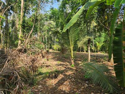 Image of 26133 Sq.ft Residential Plot / Land for sale in Poovanthuruthu, Kottayam for Rs. 24000000