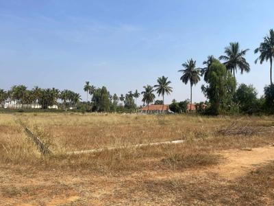 Image of 1232 Sq.ft Residential Plot / Land for sale in Devanahalli, Bengaluru for Rs. 1250000
