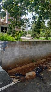 8th Phase Plot View 2