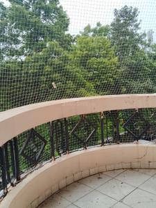 Balcony Image of 1100 Sq.ft 2 BHK Apartment / Flat for rent in Katanga Jabalpur for Rs. 15000