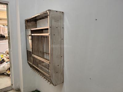 Bedroom Image of 860 Sq.ft 2 BHK Apartment / Flat for rent in Maninagar Ahmedabad for Rs. 13000