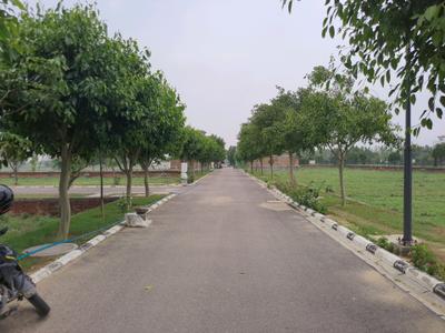 Corona Greens Internal Roads 3