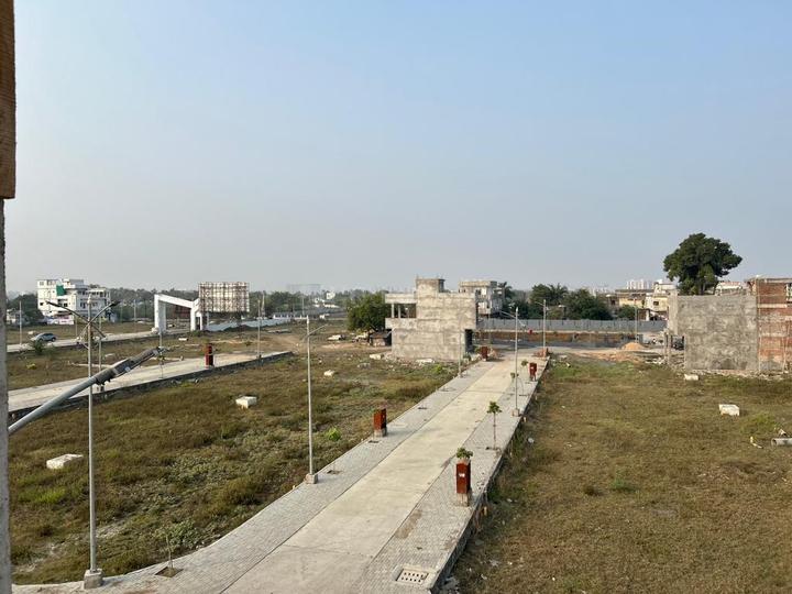 Tarodi Bk Main Image 1