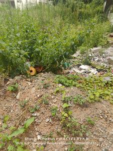 Image of 1200 Sq.ft Residential Plot / Land for sale in BTM Layout, Bengaluru for Rs. 22500000