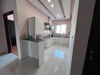 Kitchen Image of 1700 Sq.ft 2 BHK Builder Floor for rent in TDI Wellington Heights, Sector 117 Mohali for Rs. 23000