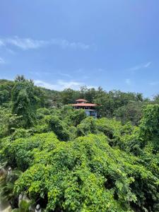 Image of 1829 Sq.ft 3 BHK Apartment / Flat for sale in Assagao, Goa for Rs. 41000000