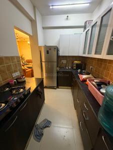 Kitchen Image of 1455 Sq.ft 3 BHK Apartment / Flat for rent in Aims Golf Avenue 2, Sector 75 Noida for Rs. 37000